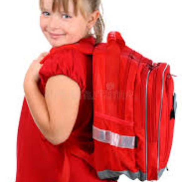 NWT High Sierra Backpack Waterproof Commute Hike Business Travel Laptop Red Gray main image 8